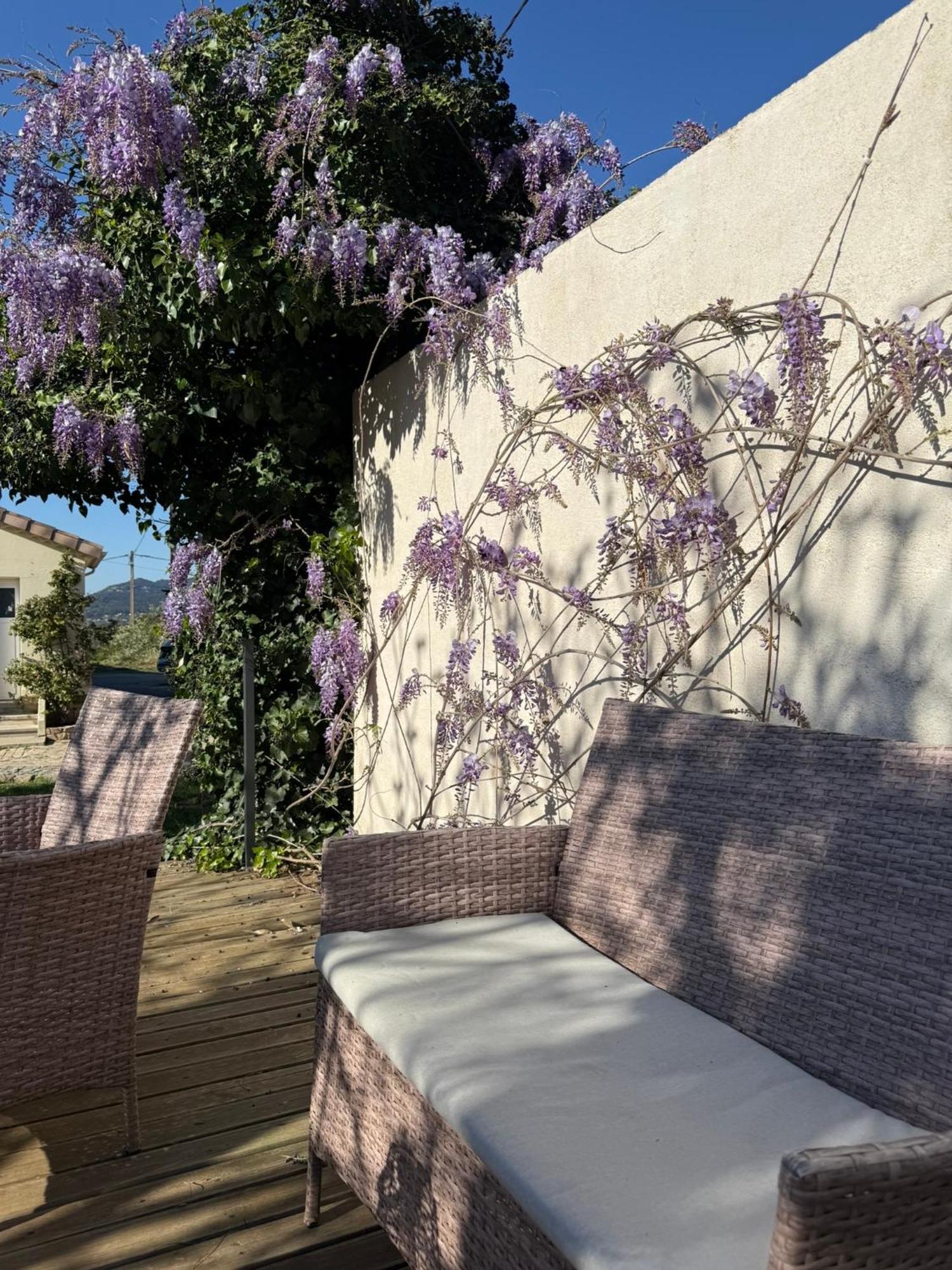 Gite Climatise Avec Piscine Sur Les Hauteurs De Bollène Buitenkant foto